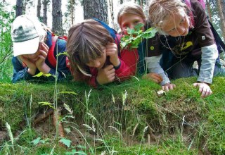 Spurensuche f&uuml;r Gro&szlig; und Klein // &copy; Foto: Nationalparkamt M&uuml;ritz