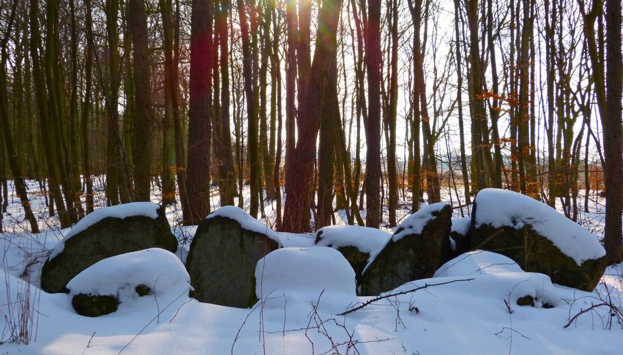 Winterromantik am Megalithgrab "Krampas" mit schneebedeckten Tragsteinen, &copy; Arch&auml;o Tour R&uuml;gen
