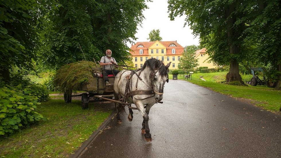 Pferdekutsche beladen mit Heu vor dem Gutshaus Luehburg. // © MV-T/Luehburg Pferdekutsche beladen mit Heu vor dem Gutshaus Luehburg. // © MV-T/Luehburg
