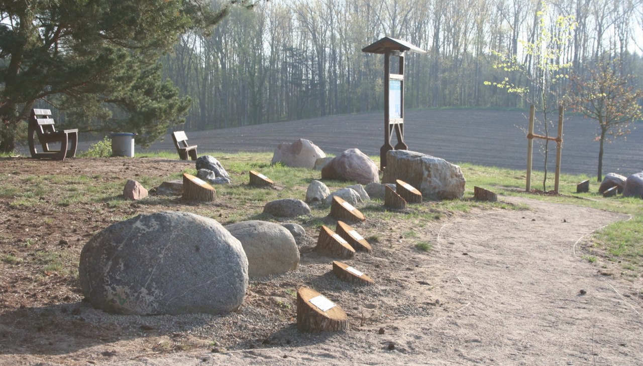 Findlingsgarten, © TI Krakow am See Findlingsgarten, © TI Krakow am See