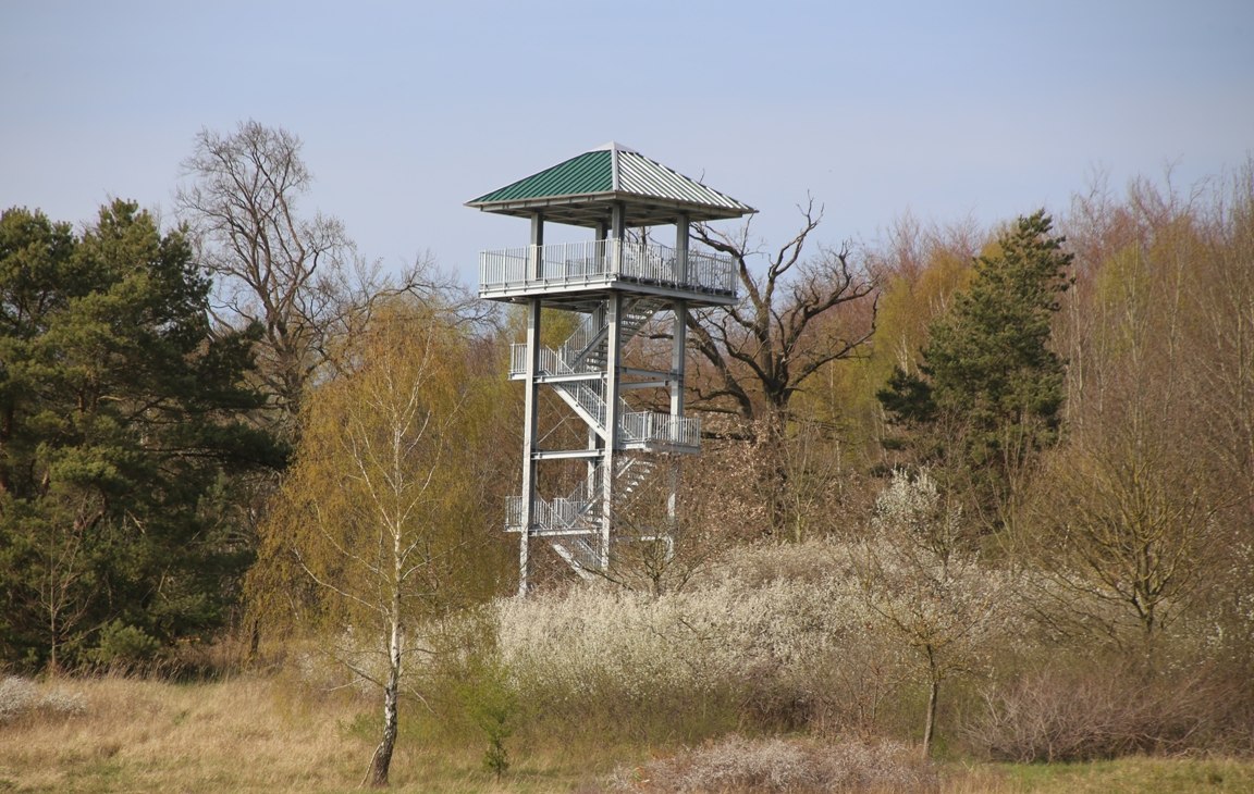 Aussichtsturm Hellberg, © Ralf Koch Aussichtsturm Hellberg, © Ralf Koch