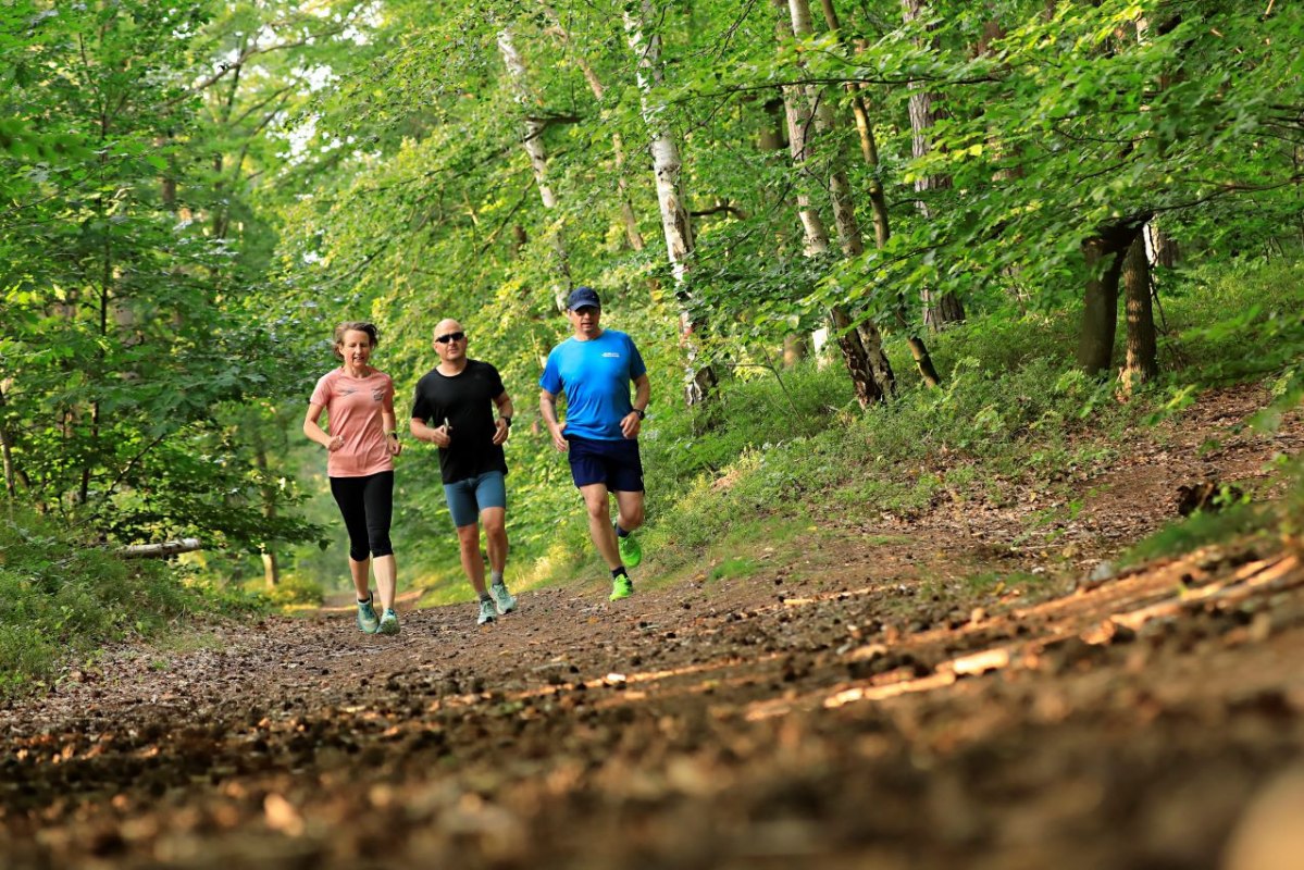 &copy; Kurverwaltung Baabe