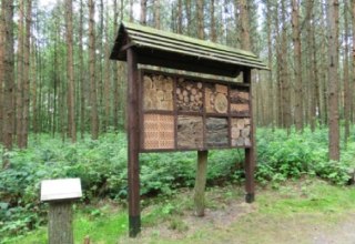 Insektenhotel im Wald der Sinne // &copy; Baltzer