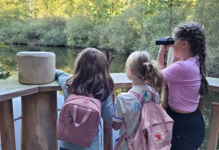Weg ins Moor auf dem Walderlebnispfad in Teterow // &copy; Julia Gnodtke
