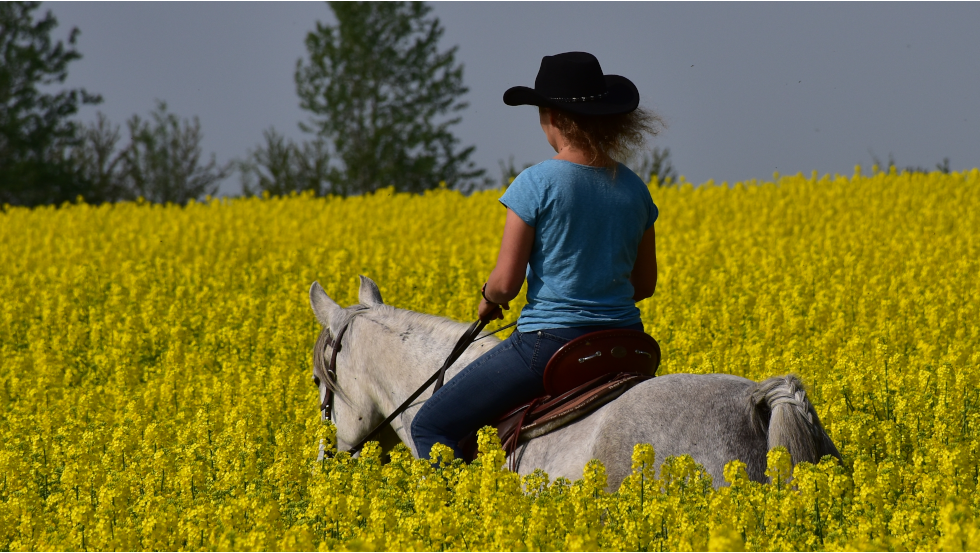 &copy; Hof Peeneland