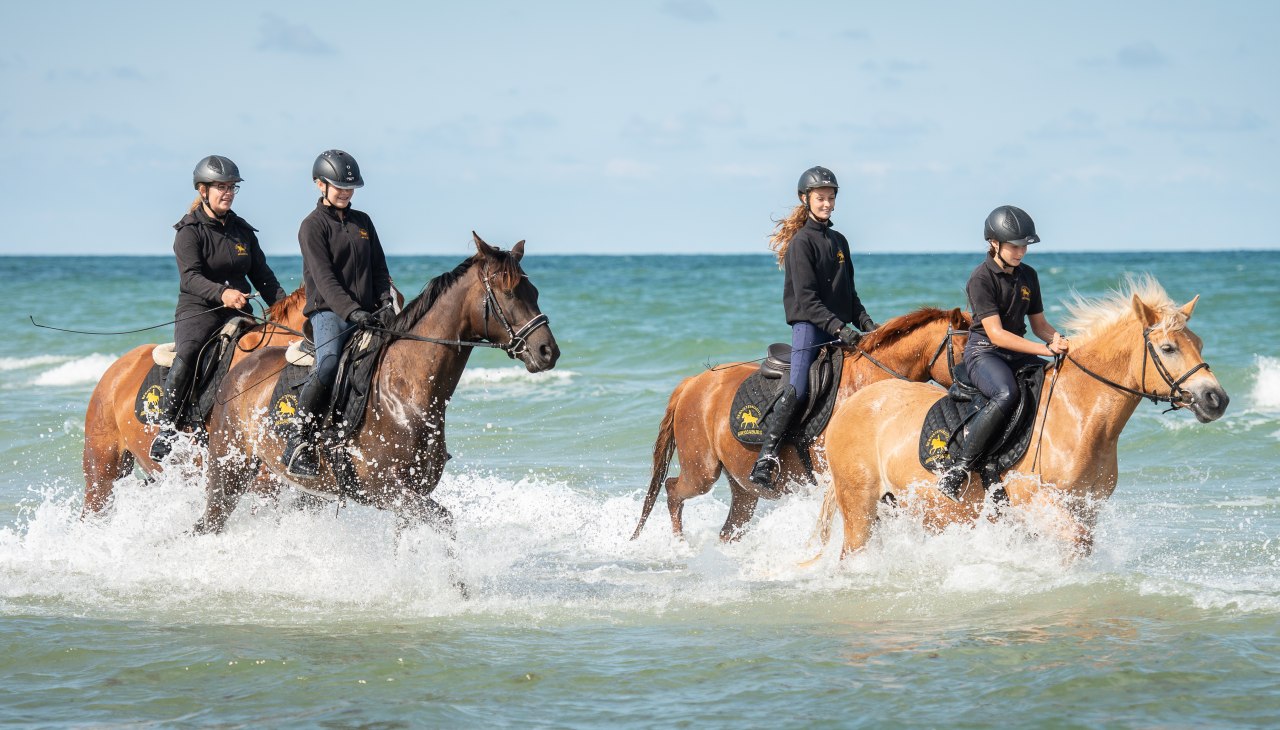 bernsteinreiter_strandritt_1, © bernsteinreiter bernsteinreiter_strandritt_1, © bernsteinreiter