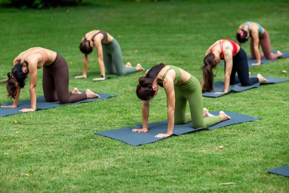 Kurs: Sunset Yoga am Schmachter See, &copy; Shutterstock