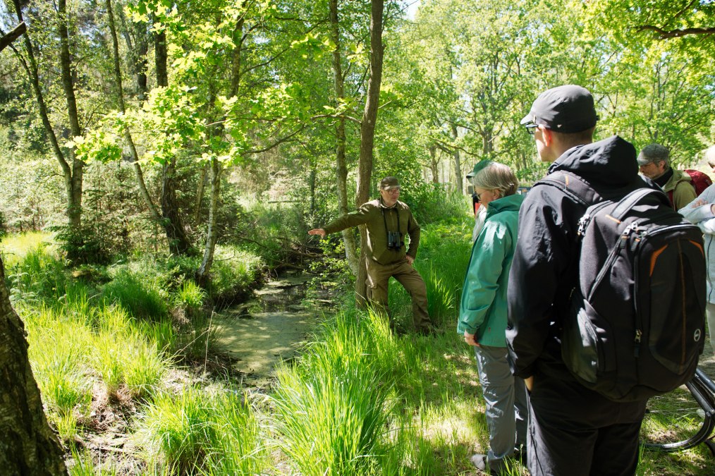 MoorWaldWandel_MTimm_2000, &copy; Nationalparkamt Vorpommern