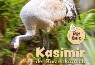 © Silva und Mario Müller © Silva und Mario Müller