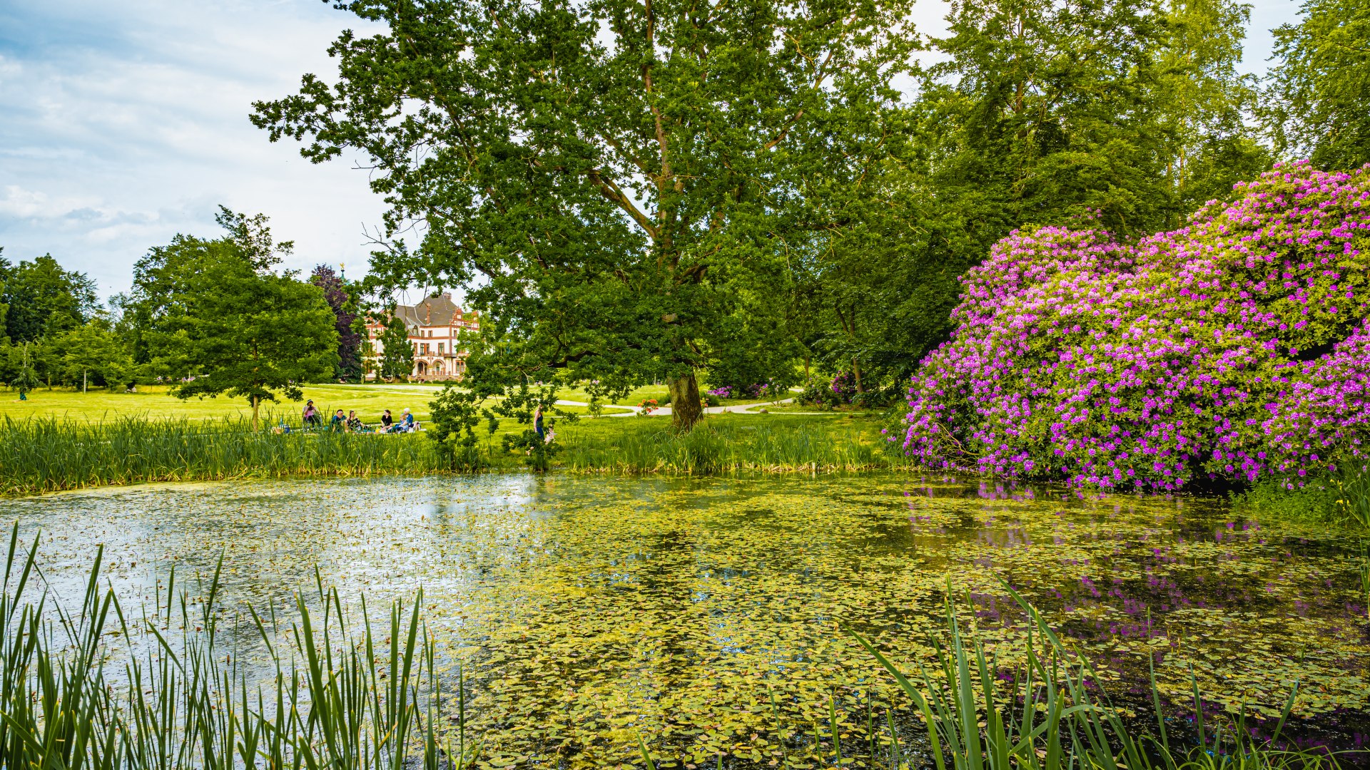 Auch der Weiher ist wieder das geworden, was er immer sein sollte. // © MV-T/Tiemann Auch der Weiher ist wieder das geworden, was er immer sein sollte. // © MV-T/Tiemann