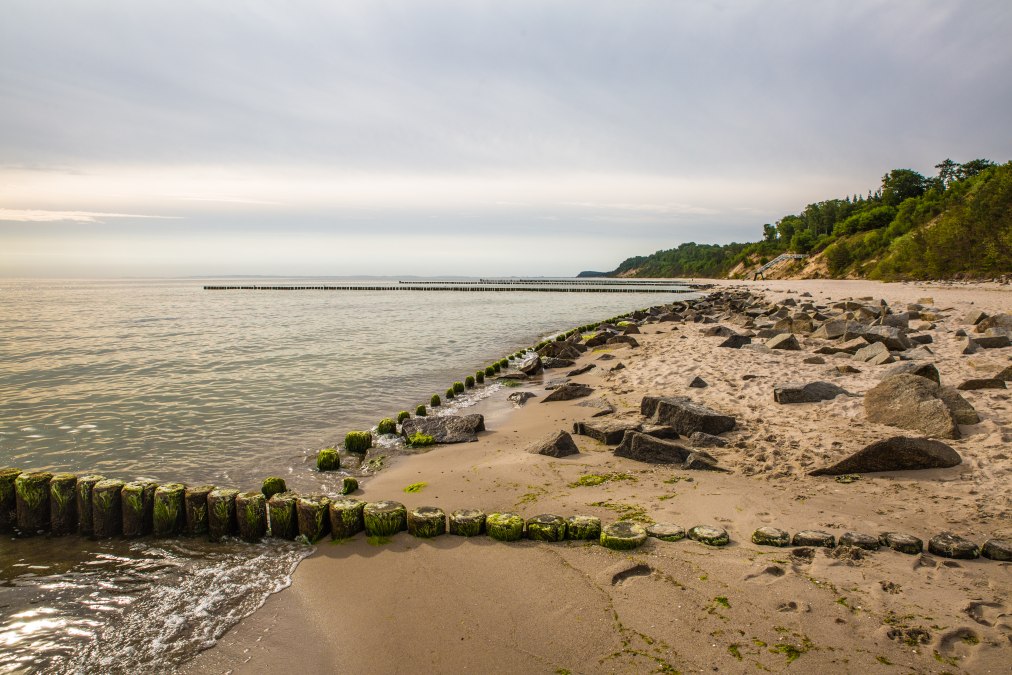 Kustwandeling met de heer Altmann, &copy; insel-fotograf.eu, Andreas Dumke