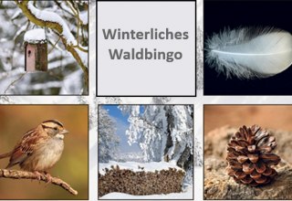 © waldbingo.jpg © waldbingo.jpg