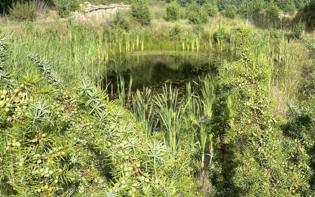 © TZ Südliche Boddenküste © TZ Südliche Boddenküste