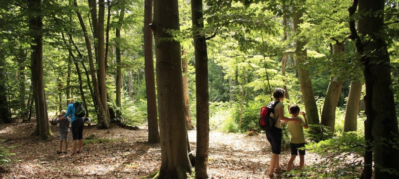 © NPA Vorpommern © NPA Vorpommern