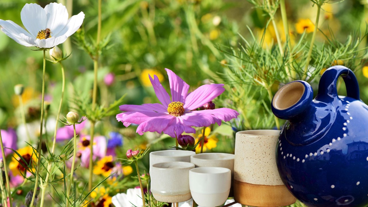 KeyVisual_Toepfertag_AGM_2026_16zu9, &copy; MuSeEn gGmbH