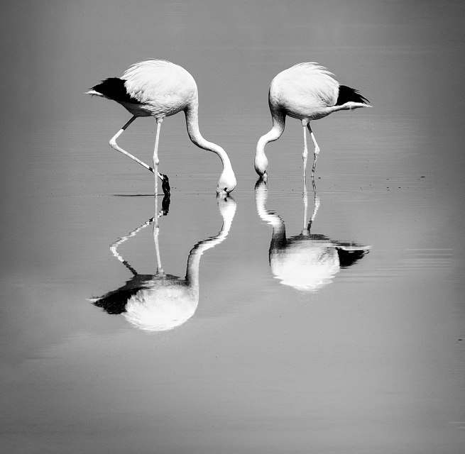 © Anke Berger © Anke Berger