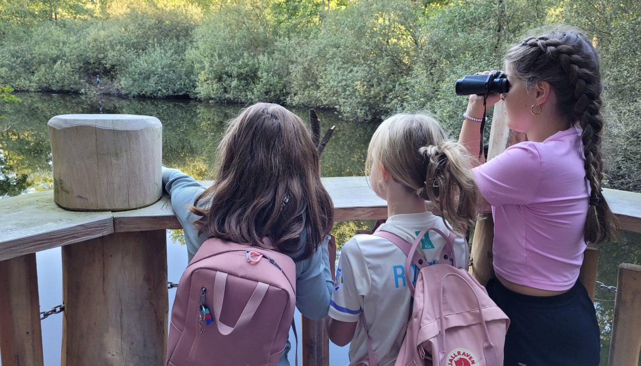 Weg ins Moor auf dem Walderlebnispfad in Teterow, &copy; Julia Gnodtke