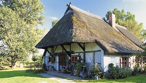 Dornenhaus Ahrenshoop, &copy; Friedemann L&ouml;ber