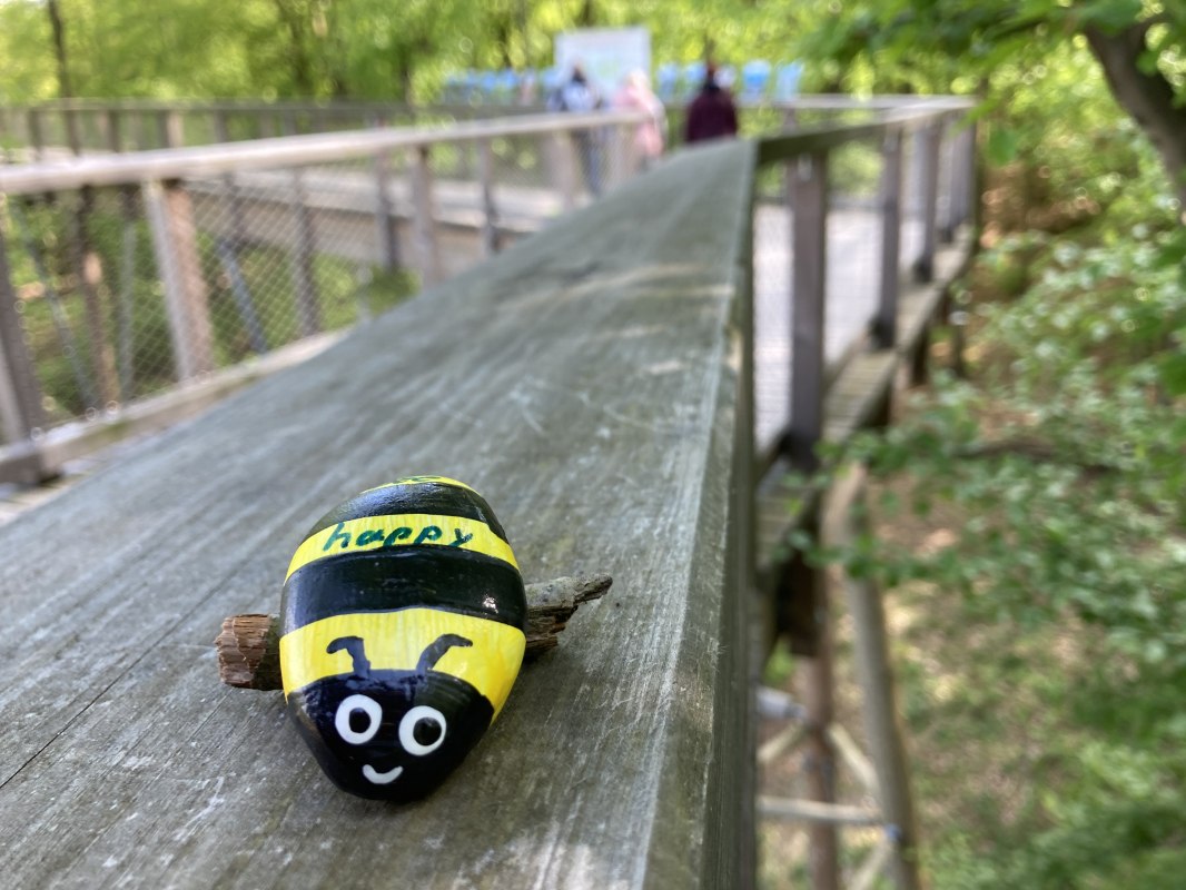 Tag der Biene auf dem Baumwipfelpfad Usedom // &copy; Erlebnis Akademie AG / Baumwipfelpfad Usedom