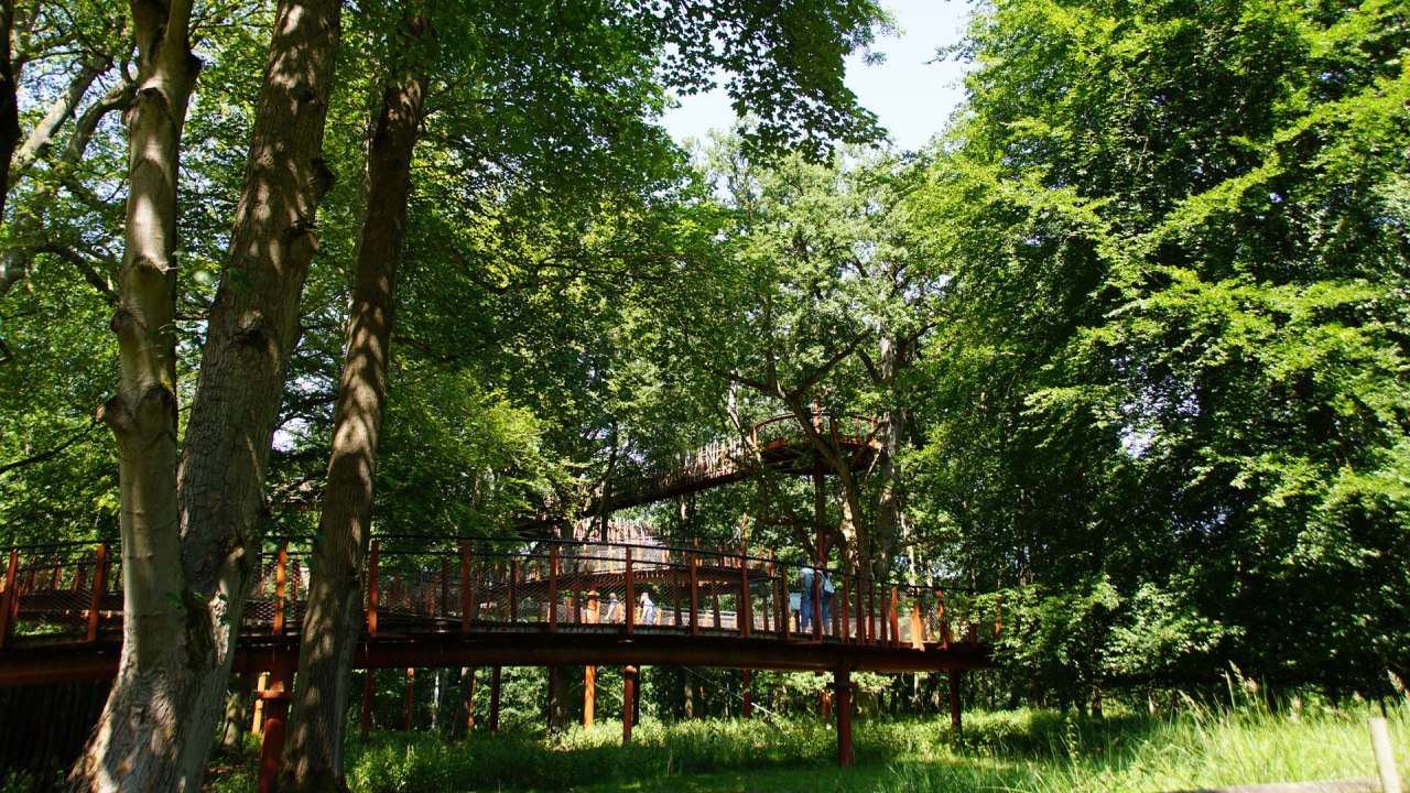 &copy; Landesforst MV