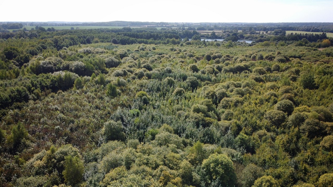 Klimawald Biosph&auml;renreservat Schaalsee // &copy; Landesforst MV