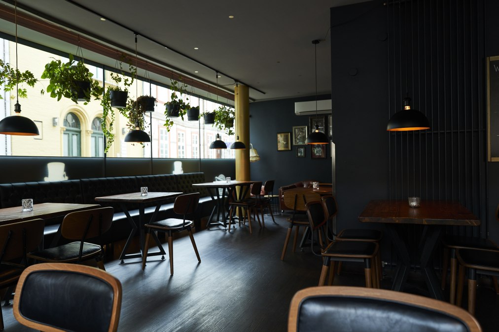 SenorZorro, &copy; Senor Zorro_Tommy Hetzel