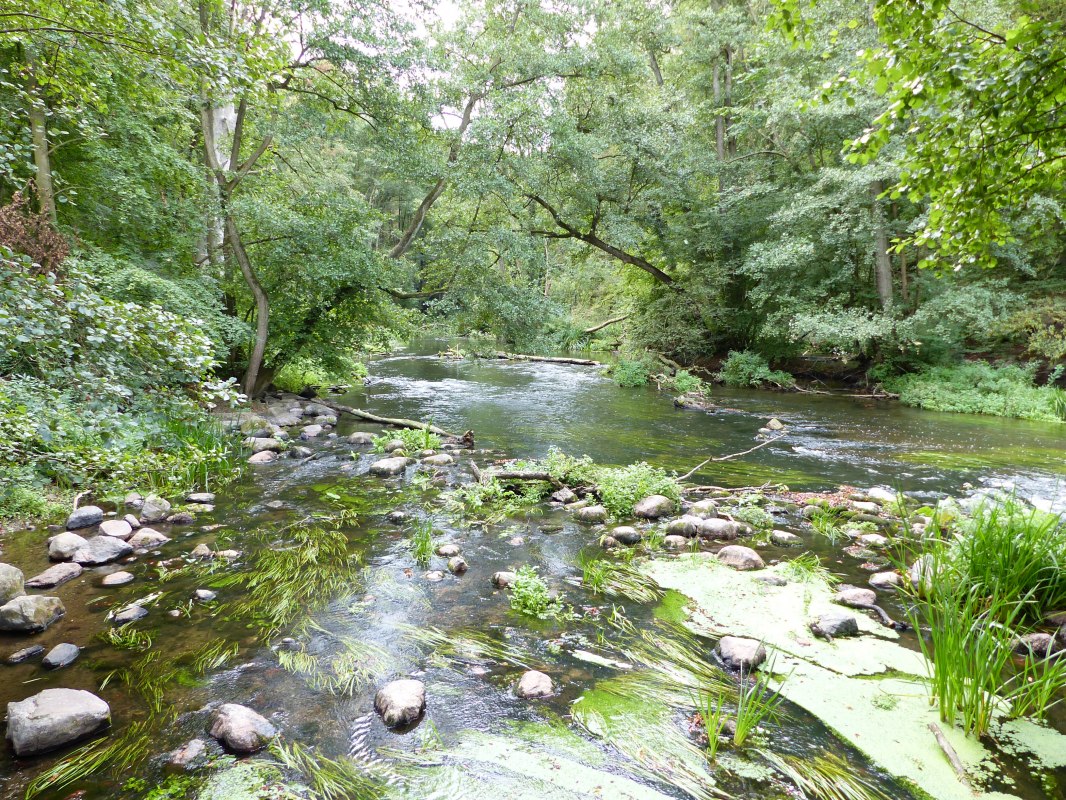 Im Warnowtal bei Gro&szlig; G&ouml;rnow // &copy; Naturpark Sternberger Seenland