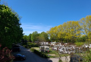 © Marko Scherzer © Marko Scherzer