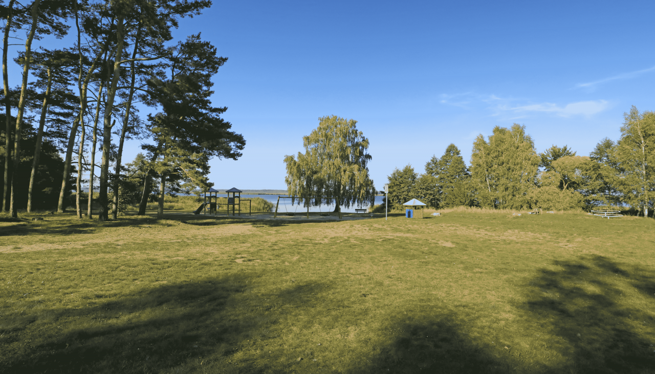 Wiese an der Badestelle Rieth, © TMV/Gohlke Wiese an der Badestelle Rieth, © TMV/Gohlke