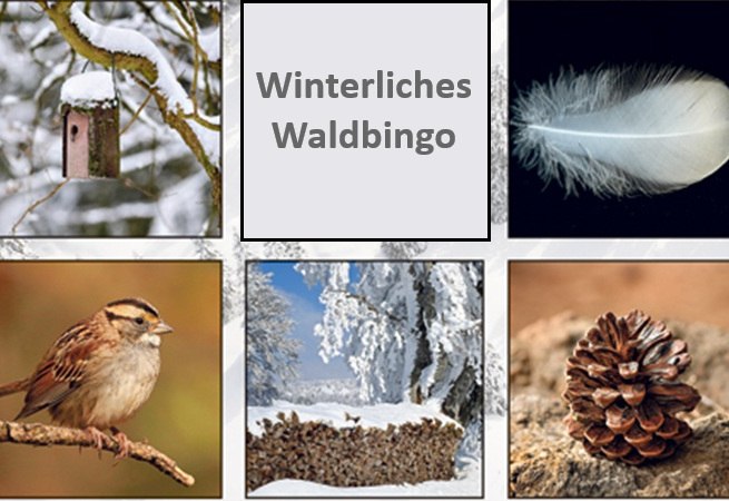 © waldbingo.jpg © waldbingo.jpg