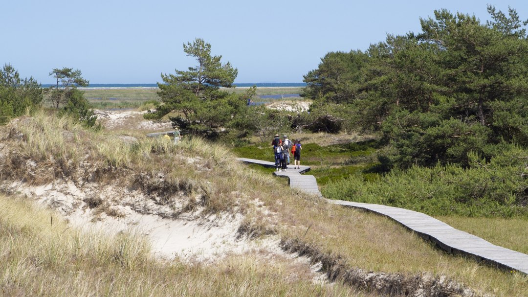 D&uuml;nensand_LSturm_1800, &copy; Nationalparkamt Vorpommern