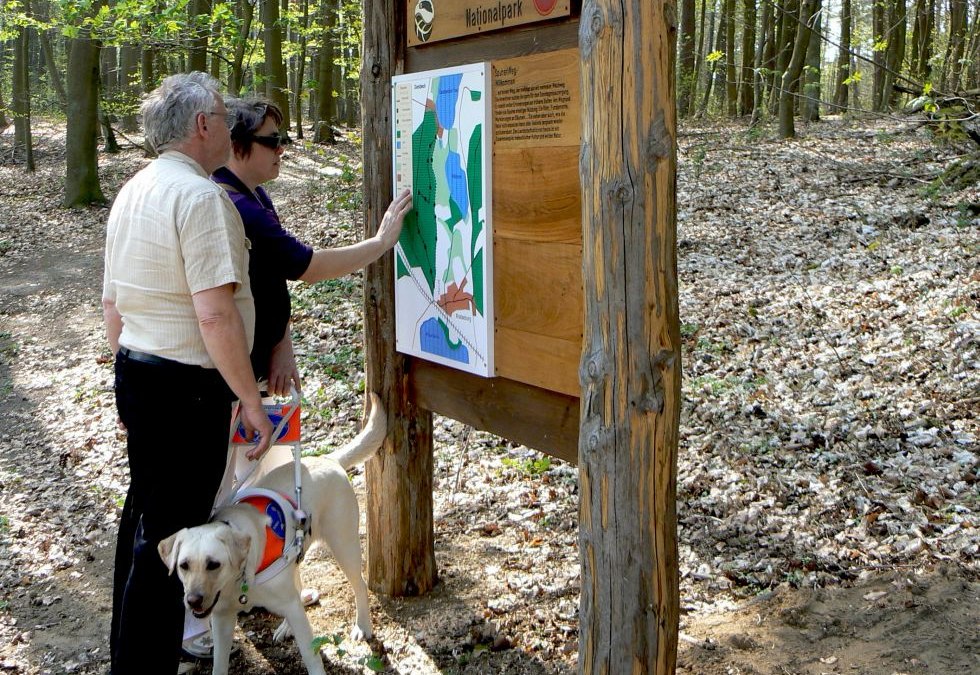 Breit angelegte Wege und mit Tastfl&auml;chen versehene Stationen erwarten die Besucher, &copy; Nationalparkamt M&uuml;ritz/Kaiser