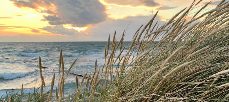 &copy; Nationalparkamt/K.B&auml;rwald