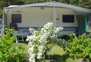 Komfortstellplatz mit Strom- und Wasseranschluss // © Natur Camping Usedom Komfortstellplatz mit Strom- und Wasseranschluss // © Natur Camping Usedom