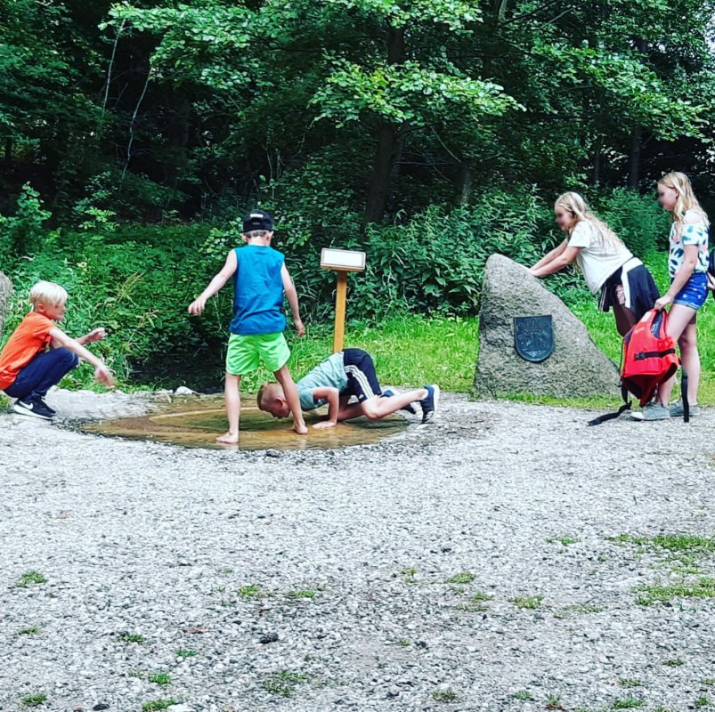 © Waren (Müritz)-Information © Waren (Müritz)-Information