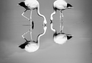 © Anke Berger © Anke Berger