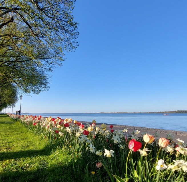 © Kredl / TZ HST © Kredl / TZ HST