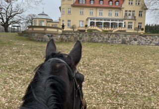 Bernsteinreitertag in Wendorf, &copy; de