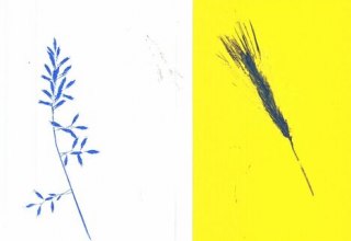 © Manja Graaf © Manja Graaf