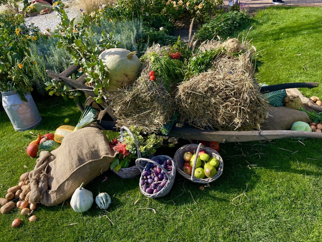 29. Ückeritzer Kartoffelfest, © Kartoffelfest.jpeg 29. Ückeritzer Kartoffelfest, © Kartoffelfest.jpeg