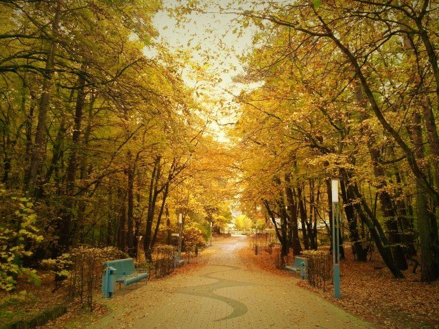 Pilzsuche im Zempiner K&uuml;stenwald mit Eckhard Melcher, &copy; 20161101_111039a