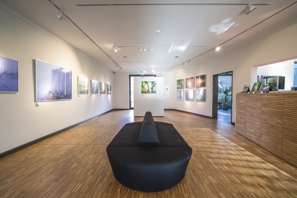 Galerij in het Max H&uuml;nten Huis, &copy; Timm Allrich