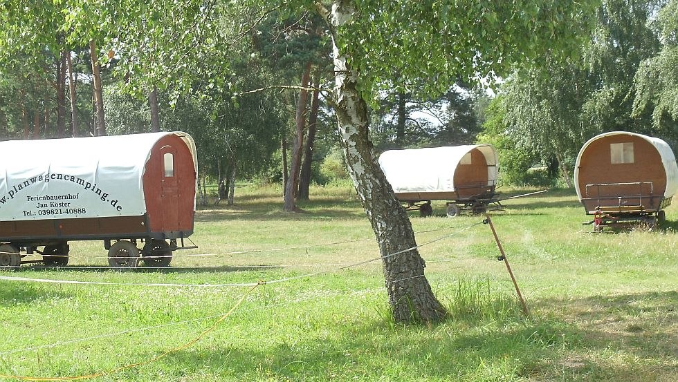 Wagenburg // © Planwagencamping/Köster Wagenburg // © Planwagencamping/Köster