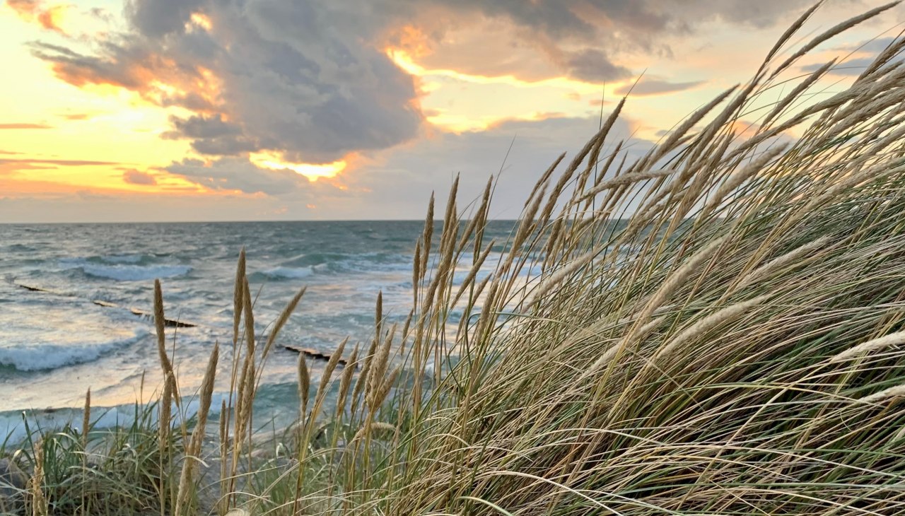 K Baerwald Ostsee und Strandhafer bearb, © Nationalparkamt/K.Bärwald K Baerwald Ostsee und Strandhafer bearb, © Nationalparkamt/K.Bärwald
