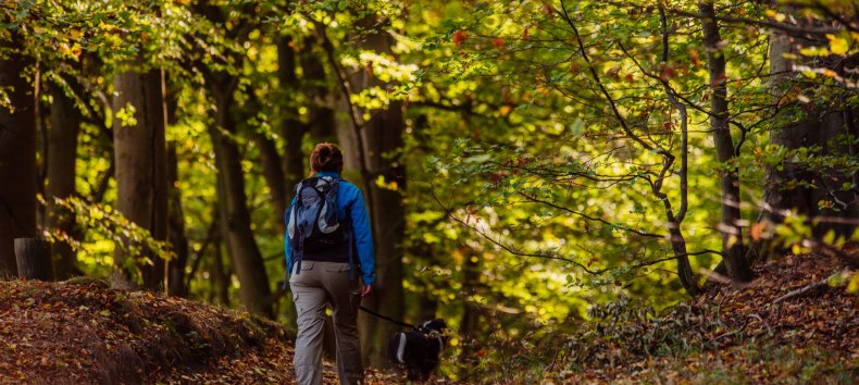 © Binzer Bucht Tourismus © Binzer Bucht Tourismus