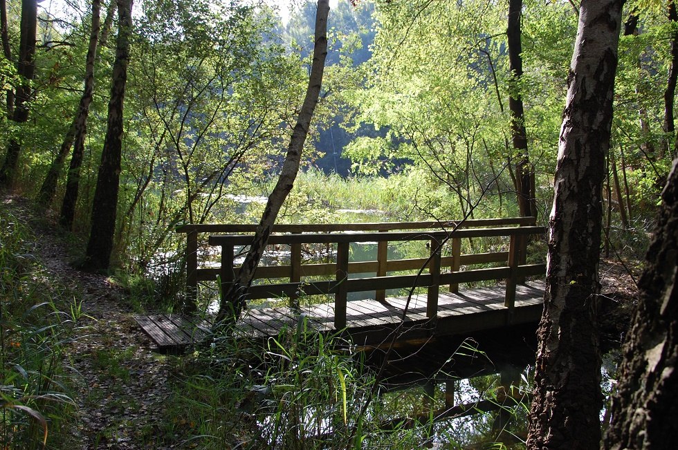 Het is moeilijk voor te stellen dat dit 50 jaar geleden een bijna vegetatieloos kraterlandschap was. // © Gabriele Skorupski Het is moeilijk voor te stellen dat dit 50 jaar geleden een bijna vegetatieloos kraterlandschap was. // © Gabriele Skorupski