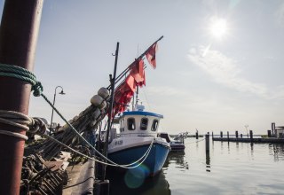 Fischerei und Touristik in Altwarp // © tvv@philipp_schulz Fischerei und Touristik in Altwarp // © tvv@philipp_schulz