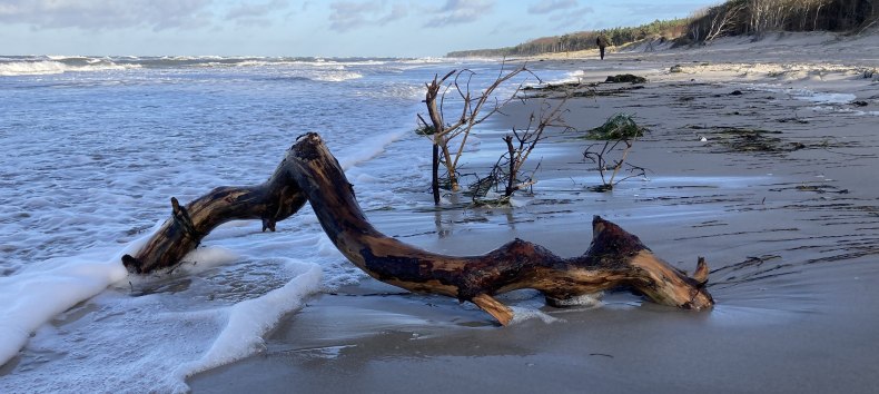 © Nationalparkamt Vorpommern