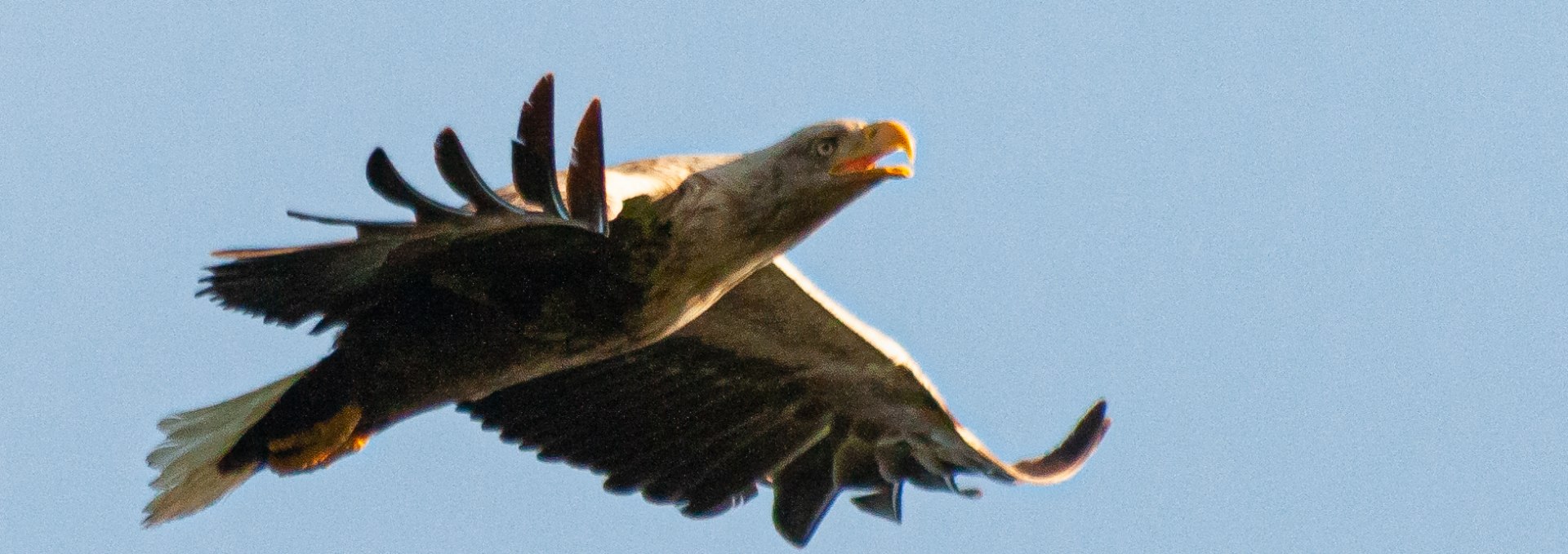 &copy; Julia Rizakowitz