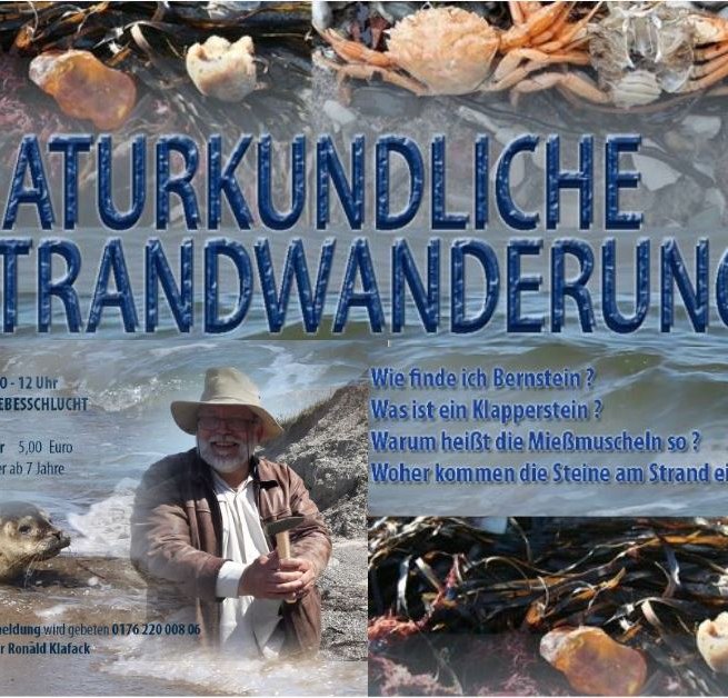 &copy; Ronald Klafack